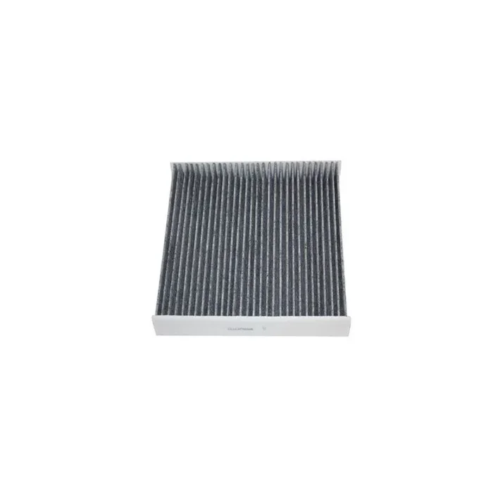 AUTOMEGA 180050510 Pollen Filter