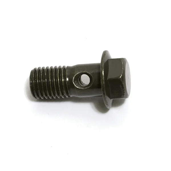 Banjo Bolt M10 x 22mm
