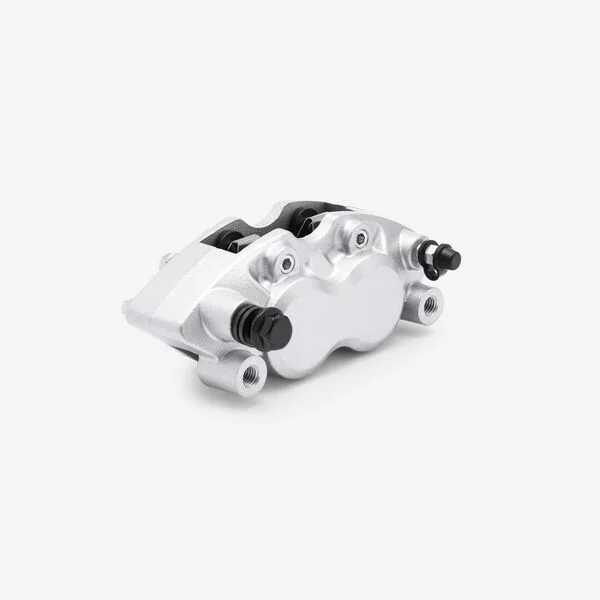 Brake Caliper (Rear)