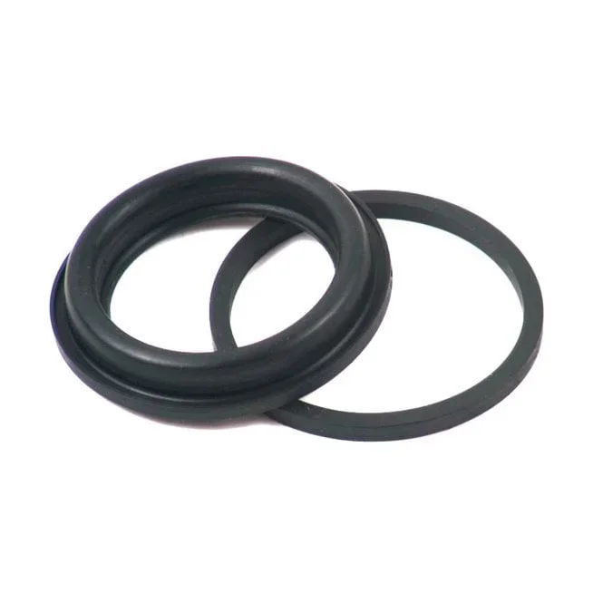 Caliper Seal Kit, Front