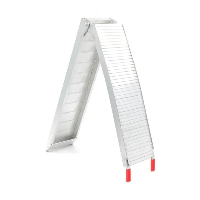 foldable ramp