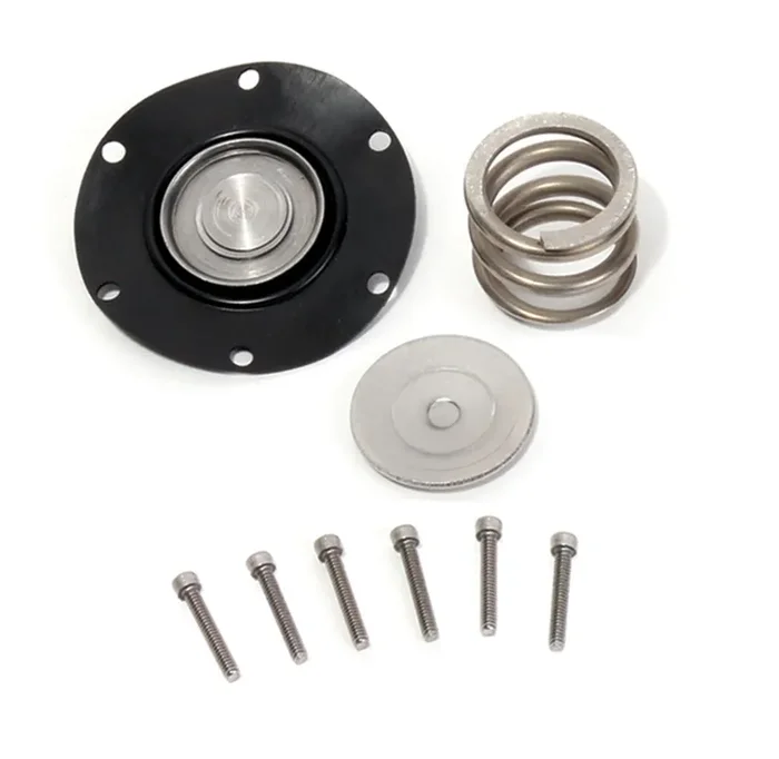 Fuel Pressure Regulator Rebuild Kit 86-98 Ford Mustang
