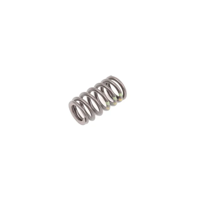 Genuine BMW 11347533061 E67 E64 E53 Valve Spring (Inc. 540i, 745i & 650i)
