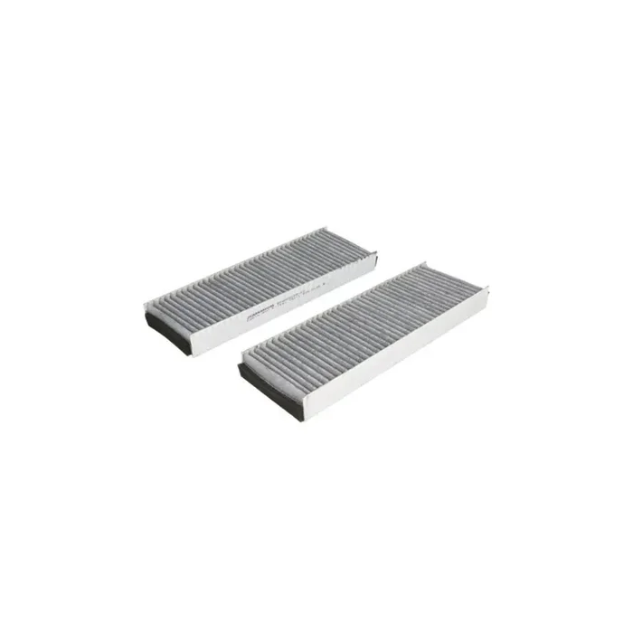 JC Premium B4W020CPR-2X Pollen Filter