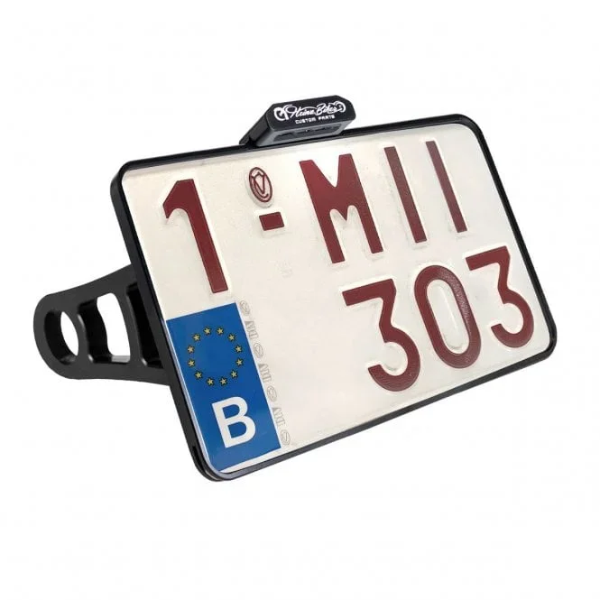 License Plate Side Mounts Dyna