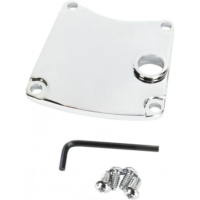 Primary Chain Inspection Cover Classic