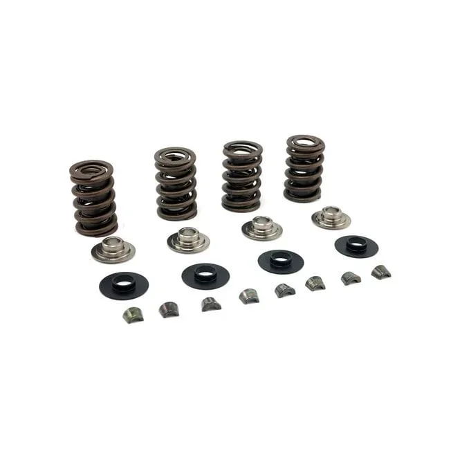 Valve Spring Kit. Titanium .600″ Lift